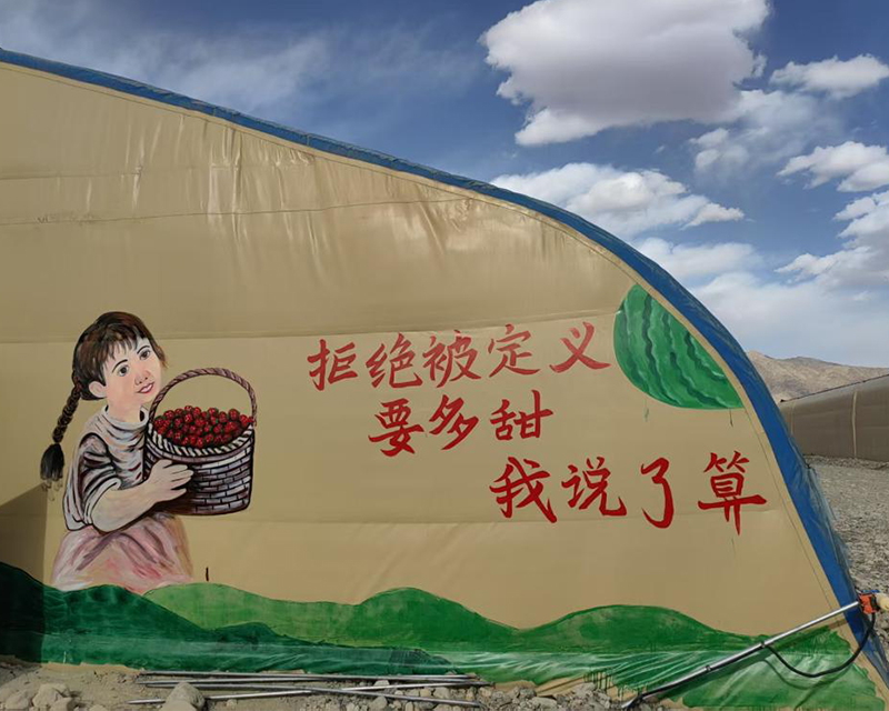 帕米尔高原的樱桃如何实现身价倍增?